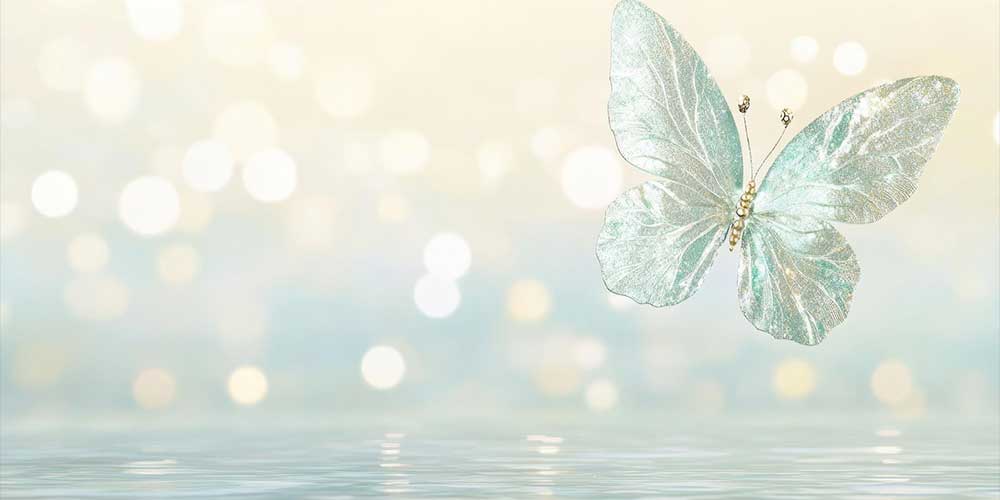 ChouChou.(シュ・シュ)のバナー